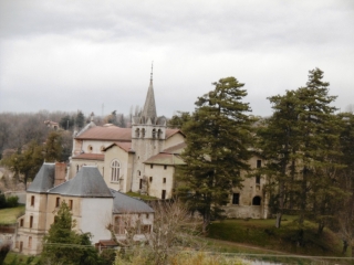 MOIDIEU LA DETOURBE - BOIS DE LA MALADIERE-isere