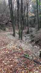 CASCADE DE TEPPES-COCHON-isere