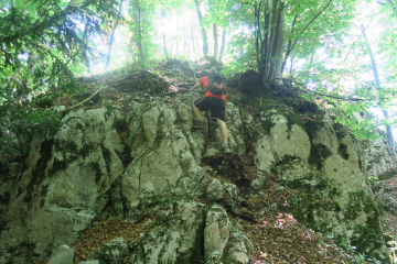 LE TOUVET - PIERRE AIGUILLE-isere