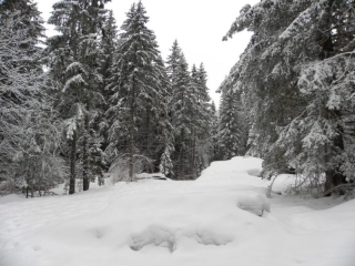 RAQUETTES A VILLARD-DE-LANS-isere