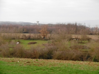 LUZINAY - LE BOIS VERNAY-isere