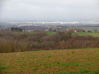LUZINAY - LE BOIS VERNAY-isere