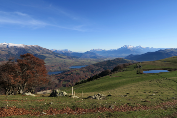 MONTAGNE DE CONNEX-isere