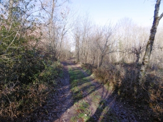 CHAUMONT PAR LE VOLLAND-isere