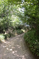 MEYSSIEZ - BOIS DE CHANTE-MERLE-isere