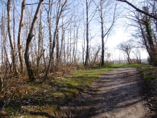 VILLETTE-DE-VIENNE - COMBE REYNE-isere