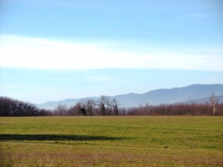 VILLETTE-DE-VIENNE - COMBE REYNE-isere