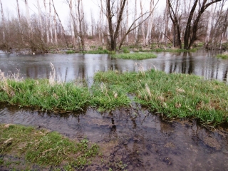 BOURGOIN -  RIVIERE LA BOURBRE-isere