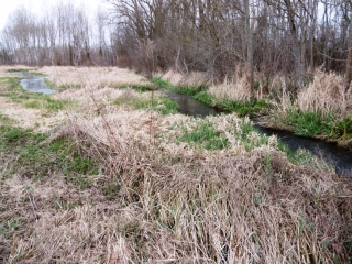 BOURGOIN -  RIVIERE LA BOURBRE-isere