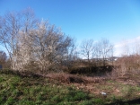 CORBEYSSIEU - RUISSEAU LA BOURBRE ET CATELAN-isere