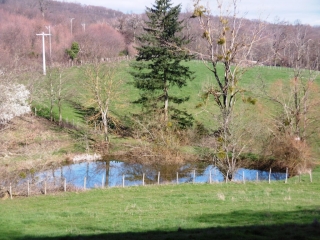 JARDIN - FORET DOMANIALE DES REVOLETS-isere