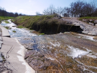 SAINT-MARCELLIN - BOIS DE MAISONNE-isere
