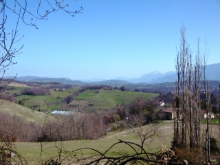 SAINT-MARCELLIN - BOIS DE MAISONNE-isere