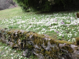 EYZIN PINET 38 GRAND TOUR-isere