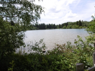 ROYBON - PAR LA VERNERETTE-isere