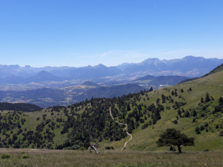 SERRE DE LA MANCHETTE-isere