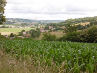 MEPIN  - SUR LES HAUTEURS-isere