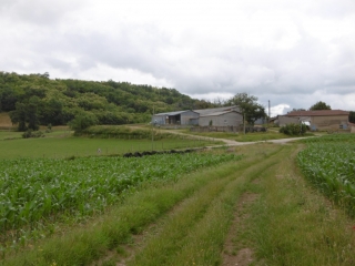 MEPIN  - SUR LES HAUTEURS-isere