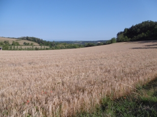 SAVAS - LE VALLON DE VERNEA-isere