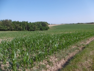 SAVAS - LE VALLON DE VERNEA-isere