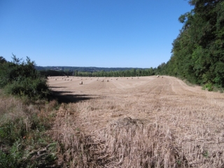 SAINT-JUST-CHALESSIN - PAR LE BOIS DU RECOURS-isere