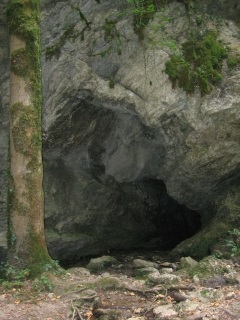 MIRIBEL-LES-ECHELLES - LE TROU DU LOUP-isere