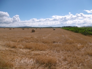 BEAUREPAIRE - CIRCUIT DES POULETTES-isere