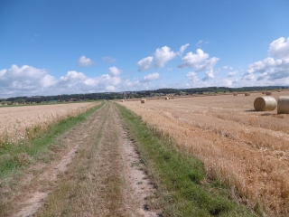 BEAUREPAIRE - CIRCUIT DES POULETTES-isere