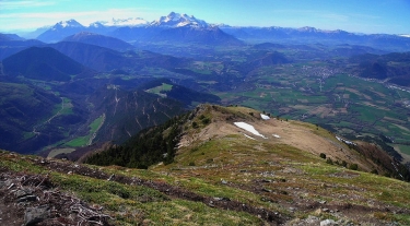 PIQUET DE NANTES-isere