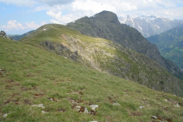 PIQUET DE NANTES-isere