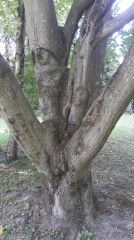 ARBORETUM PLANETAIRE-isere