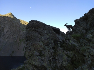 DES COMBES DE LANCEY AU LAC DU CROZET DANS LA CHINE DE BELLEDONNE-isere