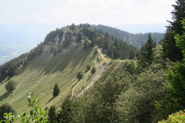 CRETE DE CHARANDE-isere