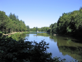 VILLENEUVE-DE-MARC - FORET DE BONNEVAUX-isere