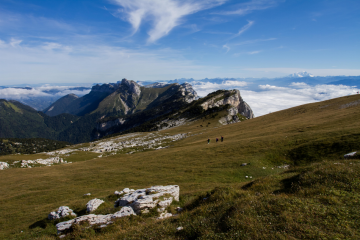 DENT DE CROLLES (MONTEE DU PRAYET)-isere