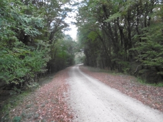 CREMIEU - DE CREMIEU A ARANDON-isere