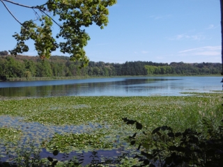 SAINT-QUENTIN-FALLAVIER - TOUR BORD DE L ETANG DE FALLAVIER-isere