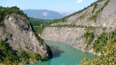 BOIS DE MAISSENAT-isere
