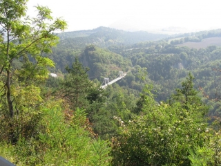 BOIS DE MAISSENAT-isere