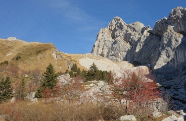 PLATEAU DU CORNAFION-isere