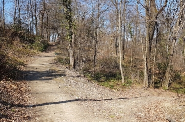 LA FRANGE VERTE-isere