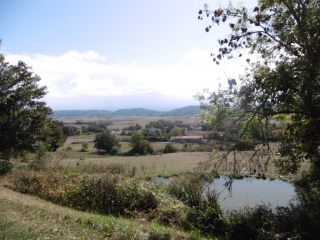 ARZAY - ETANG DE COQUET-isere