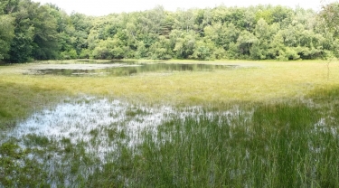 ARZAY - ETANG DE COQUET-isere