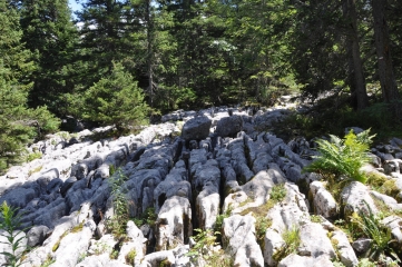 SORNIN ET MOLIERE-isere