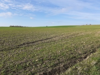 MONTBERNIER - PETIT TOUR-isere