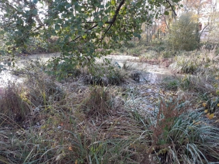 MONTBERNIER - LA ROSIERE PAR CHAMPAGNIEU-isere
