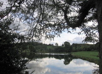 BELMONT - ST DIDIER DE BIZONNES -isere