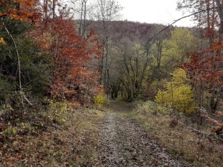 VIENNE -  MALISSOL (LE LONG DE LA RIVIERE LA GERE)-isere