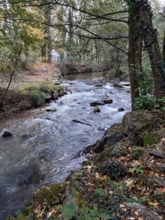 VIENNE -  MALISSOL (LE LONG DE LA RIVIERE LA GERE)-isere