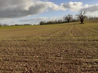 MONTBERNIER -  GRANDE TERRE-isere